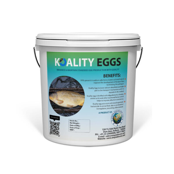 Feed supplement, Koality Egg