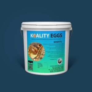 Koality Egg